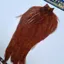 Whiting American Rooster Cape in Coachman Brown